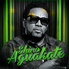 Shino Aguakate icône