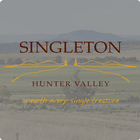 Visit and Explore Singleton simgesi