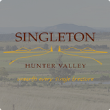 Visit and Explore Singleton icône