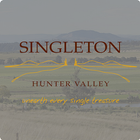 Visit and Explore Singleton Zeichen