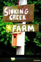 Sinking Creek Farm 海报