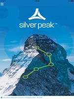Silver Peak imagem de tela 3
