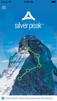 Silver Peak الملصق