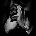 MMA Mosley