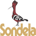 Sondela ícone