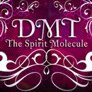 DMT The Spirit Molecule APK