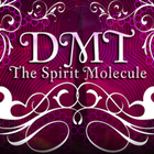 DMT The Spirit Molecule ikon