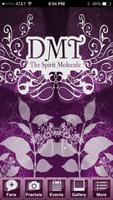 DMT The Spirit Molecule Affiche
