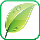 Spring Leaf APK
