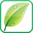 Spring Leaf APK