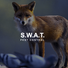 SWAT Pest Control Ltd icône