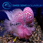 Swee Seng Aquarium icon