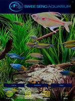 Swee Seng Aquarium screenshot 3