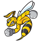 Sting Bee icône
