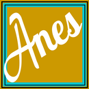Styles by Anes APK