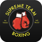 Supreme Team Boxing icon