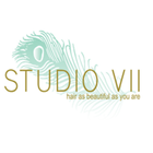Studio VII : sura xx icône