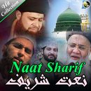 Naat Sharif APK