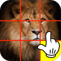 FREE Photo Puzzle