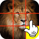 FREE Photo Puzzle APK