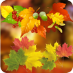 ”Autumn Wallpaper