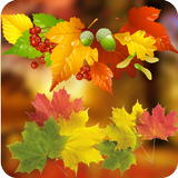 Autumn Wallpaper biểu tượng