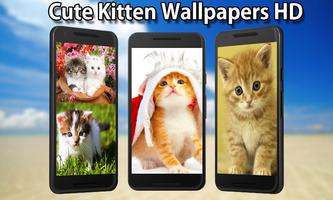 Cute Kitten Wallpapers HD-poster