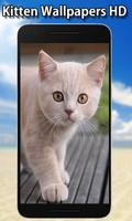 Cute Kitten Wallpapers HD syot layar 1