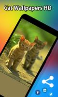 Cute Kitten Wallpapers HD syot layar 2
