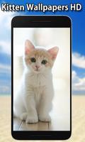 Cute Kitten Wallpapers HD تصوير الشاشة 3