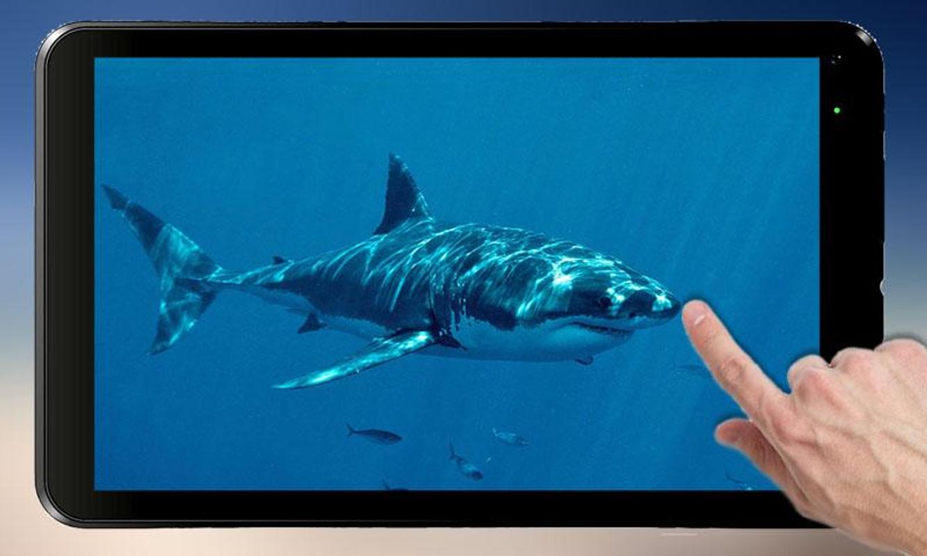 Shark Attack for Android - APK Download
