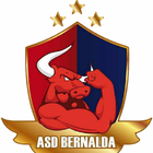 Bernalda Futsal icône
