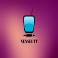 Sensei TV