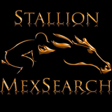 StallionMexSearch icône