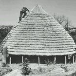 PHOTTAL KOYIN (BetaTesting)