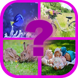 ”Qual é a imagem?