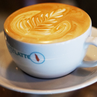 ikon Caffe Latte