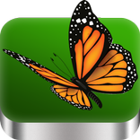 Biology : MCQs , Books , Videos and Quiz