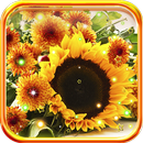 Wild Sunflower live wallpaper APK