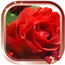 Love Magic HD Live Wallpaper APK