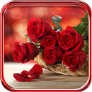 APK Roses Love Valentine 2015