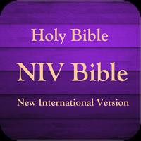 NIV Bible Study poster