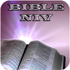 Bible NIV for Study icono
