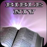 Bible NIV for Study 포스터