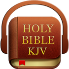 Audio Holy Bible (KJV) icône