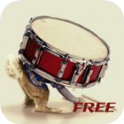Drum Lessons For Beginners icône