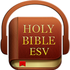 Audio Holy Bible (ESV) icône