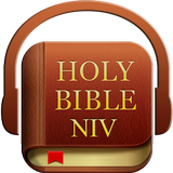 Audio Holy Bible (NIV) ไอคอน