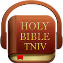 Audio Holy Bible (TNIV) APK
