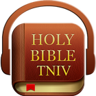 Audio Holy Bible (TNIV) icon